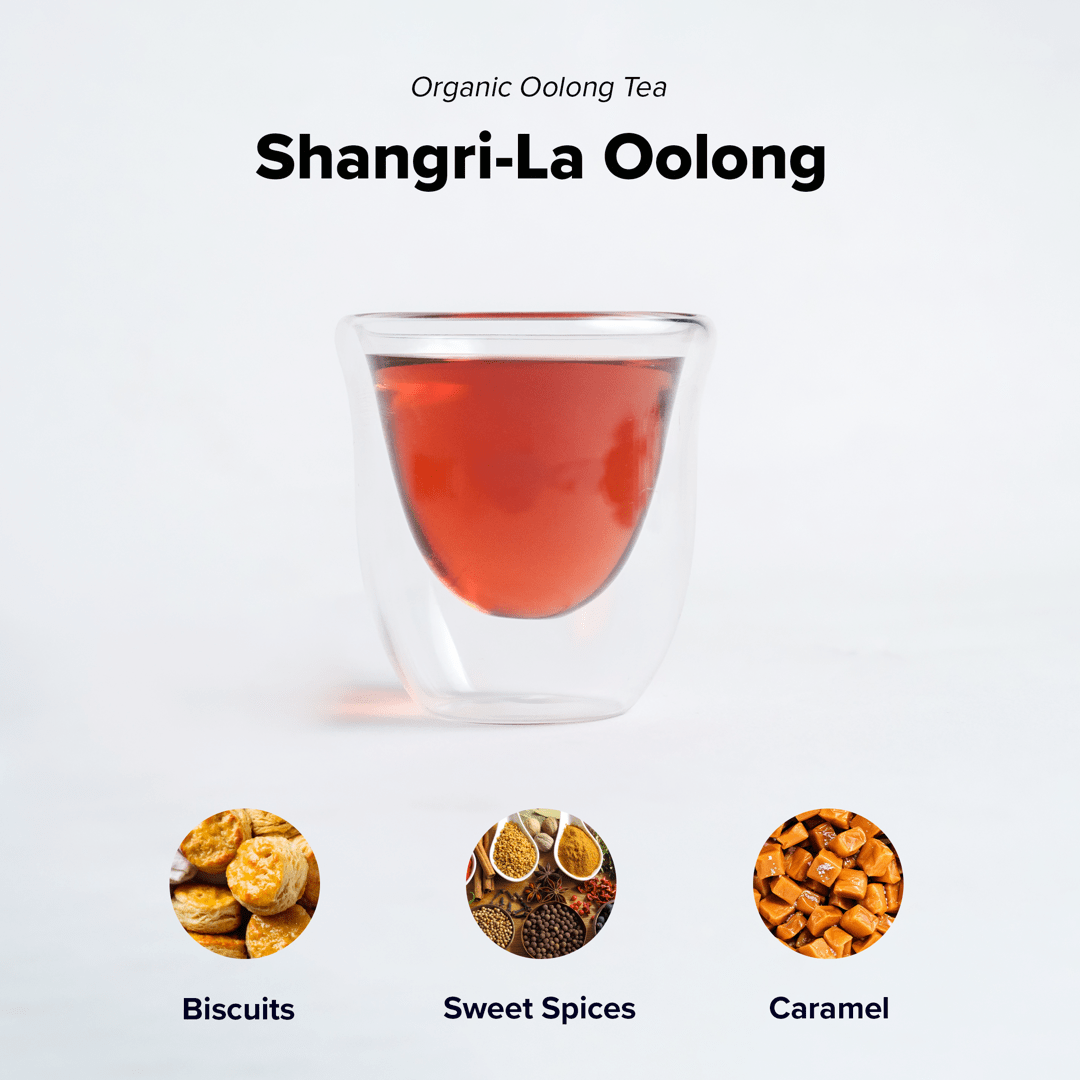 Shangri-La Oolong | Wholesale-1